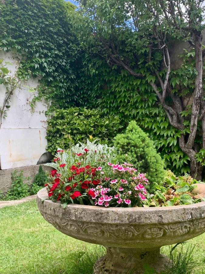 Casa Palomera - Casa Completa Con Jardin, Gimnasio Y Garaje Privados *